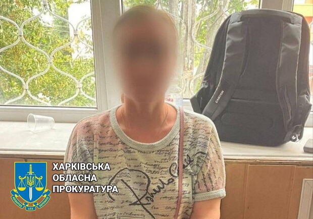Харьковчанка, сообщившая представителям России о расположении украинских военных, пойдет под суд. 