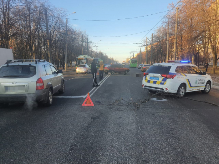 В Харькове в результате ДТП погибли два пенсионера