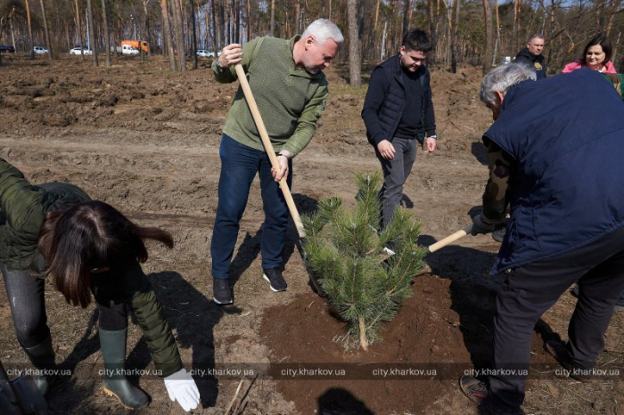 В Харькове высадят более 20 тисяч деревьев.