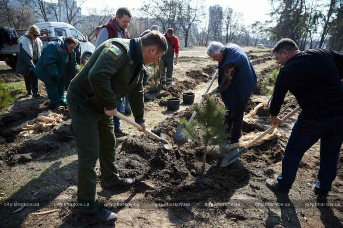 В Харькове высадят более 20 тисяч деревьев.