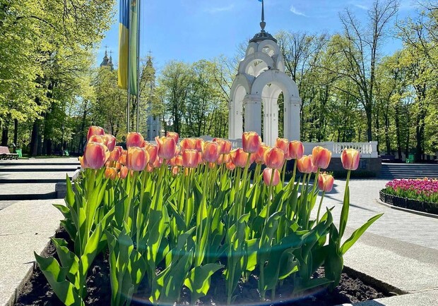 Какой будет погода в Харькове в эти выходные. 