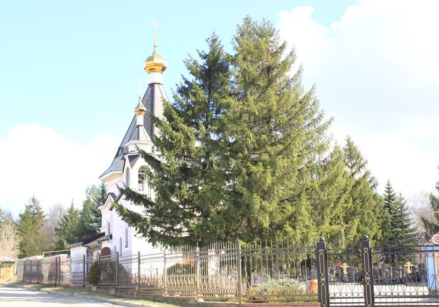 В Харькове еще одно кладбище закрыли для посещения. 