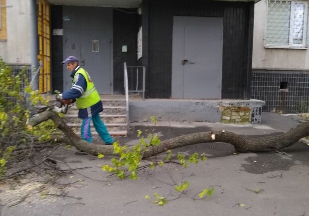 В Харькове из-за непогоды пострадали трое людей: двое из них в больнице. 