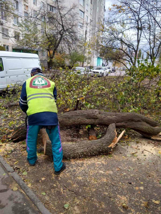 В Харькове из-за непогоды пострадали трое людей: двое из них в больнице.