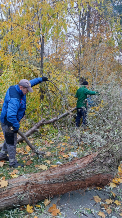 В Харькове из-за непогоды пострадали трое людей: двое из них в больнице.