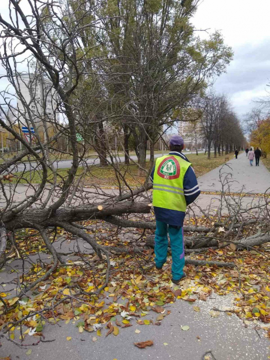 В Харькове из-за непогоды пострадали трое людей: двое из них в больнице.