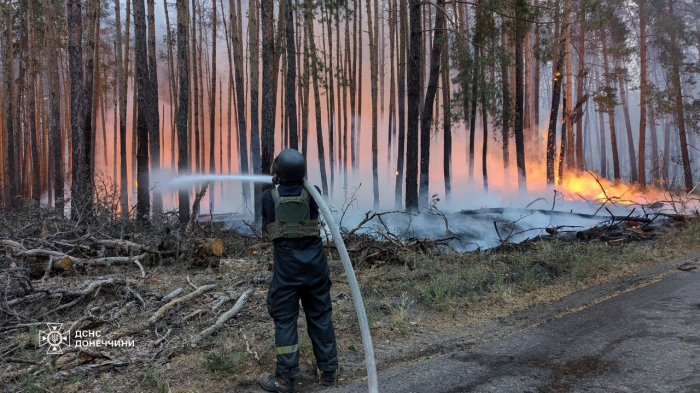 В Изюмском районе десятый день борются с масштабным лесным пожаром.