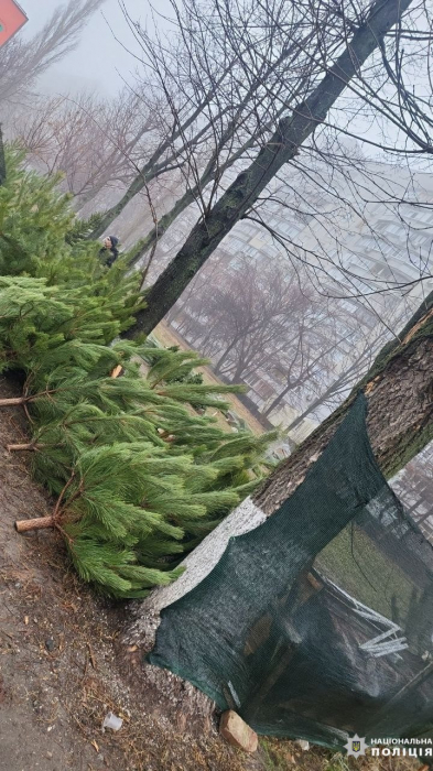 В Харькове проверяют торговцев елками.