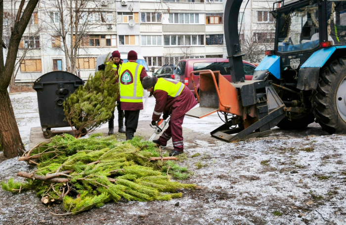 Куда харьковчанам относить новогодние елки.