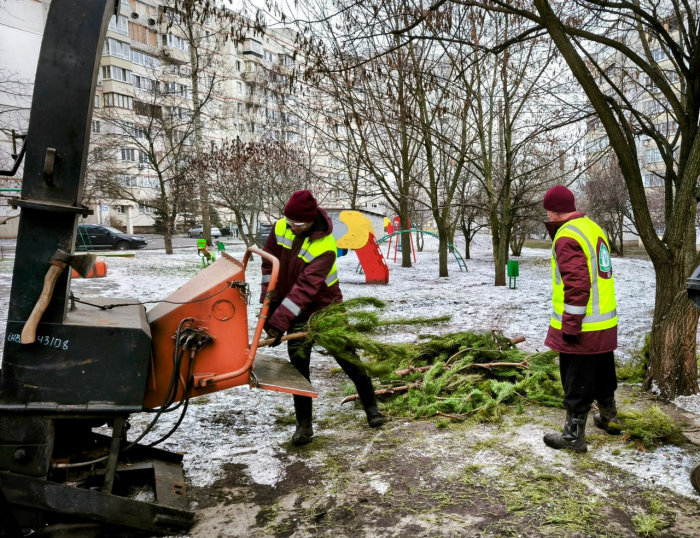 Куда харьковчанам относить новогодние елки.