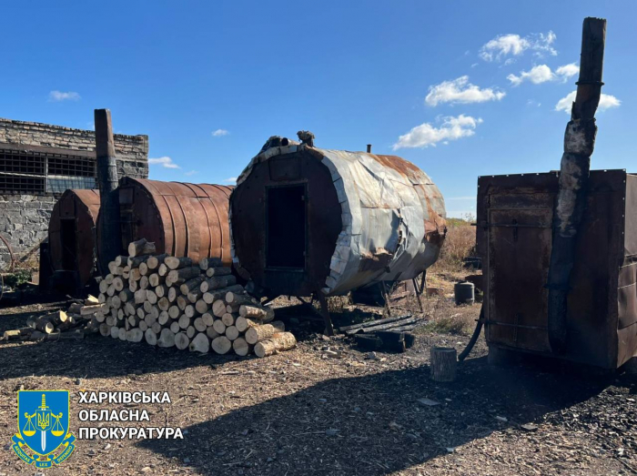 Ущерб более 5 миллионов: в Харьковской области разоблачили масштабную вырубку деревьев. Фото: Харьковская областная прокуратура