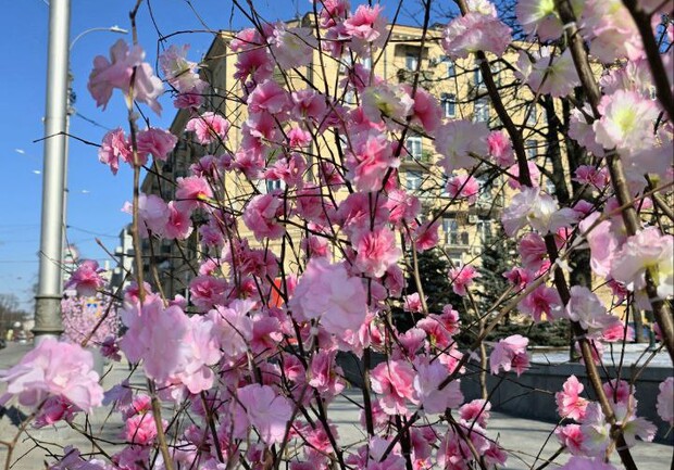 Фотофакт: в Харькове установили весенние украшения. Фото: Харьковский горсовет