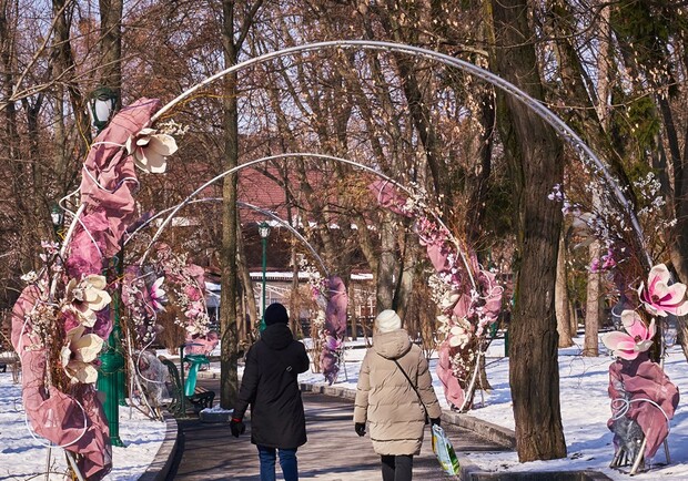 Пойдет снег и станет холоднее: какой будет погода в Харькове на этой неделе. Фото: Василий Голосный