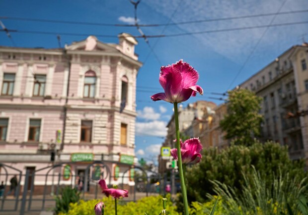 Ждать ли дождей: какая погода будет на выходных в Харькове. Фото: Василий Голосный
