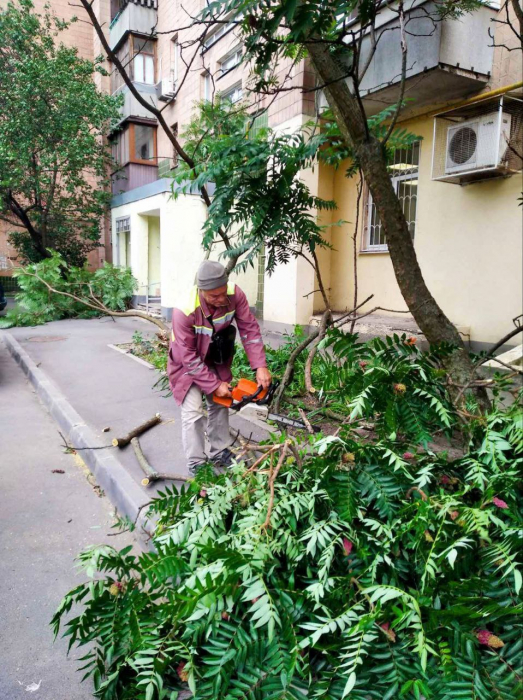 Ураган в Харькове: пострадала женщина, сломано 33 дерева и 77 веток. Фото: Харьковский горсовет