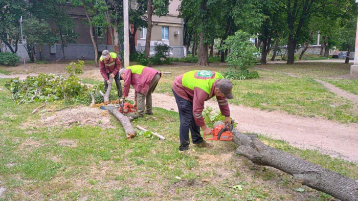 Ураган в Харькове: пострадала женщина, сломано 33 дерева и 77 веток. Фото: Харьковский горсовет