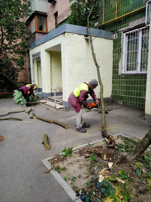 Ураган в Харькове: пострадала женщина, сломано 33 дерева и 77 веток. Фото: Харьковский горсовет