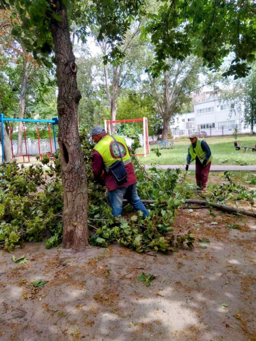 Ураган в Харькове: пострадала женщина, сломано 33 дерева и 77 веток. Фото: Харьковский горсовет