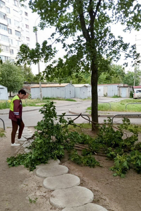 Ураган в Харькове: пострадала женщина, сломано 33 дерева и 77 веток. Фото: Харьковский горсовет