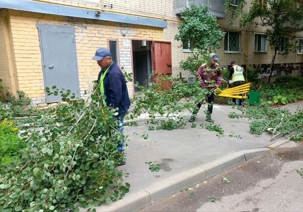 Ураган в Харькове: пострадала женщина, сломано 33 дерева и 77 веток. Фото: Харьковский горсовет