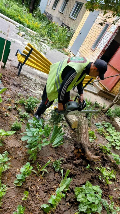 Ураган в Харькове: пострадала женщина, сломано 33 дерева и 77 веток. Фото: Харьковский горсовет