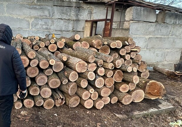 В Харьковской области блокировали масштабную вырубку деревьев. 