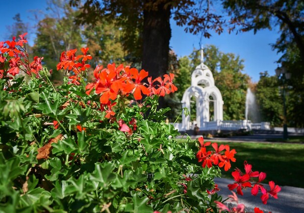 Будет ли похолодание: прогноз погоды на неделю в Харькове. Фото: Василий Голосный