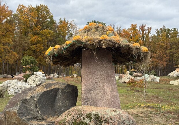 В экопарке пройдет первый фестиваль тыкв. 