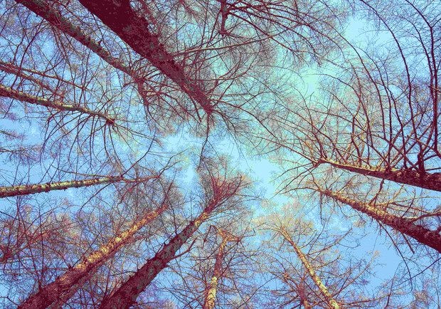 До 14 градусов тепла: какая погода будет в Харькове в эти выходные. 