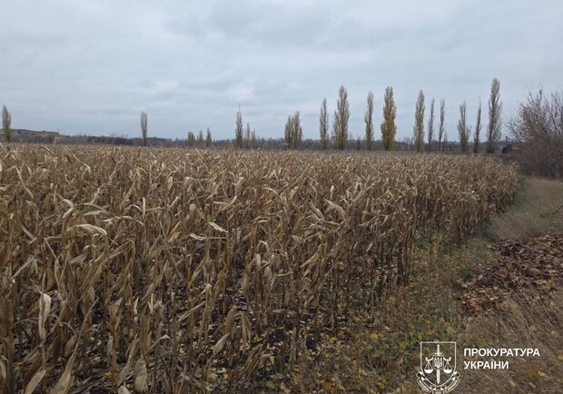 У ХТЗ отобрали арендованный земельный участок. 