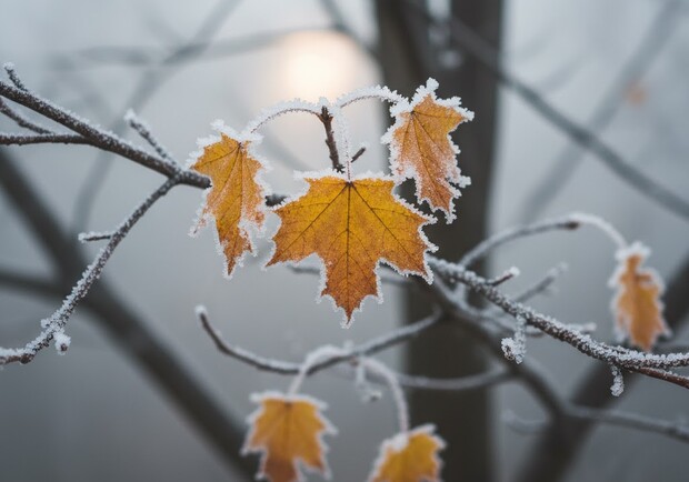 Метеорологи предупреждают: ноябрь способен принести одну из самых холодных недель за 70 лет. 